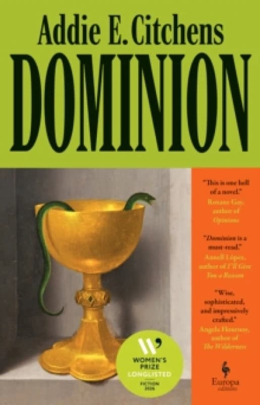 Dominion : A Novel Paperback / softback