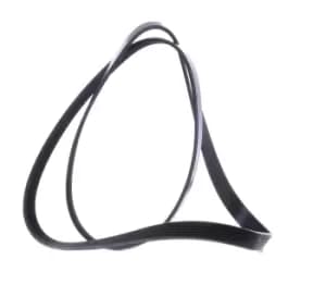 RIDEX V-ribbed belt OPEL,CHEVROLET,VAUXHALL 305P0422 1340027,55578486,1340027 55578486