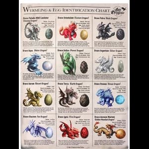 Large Wyrmling & Egg Identification Chart Canvas Picture by Anne Stokes