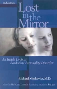 Lost in the Mirror by Richard Maskovitz Book