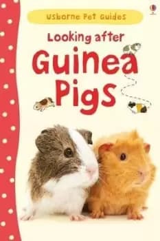 Looking after Guinea Pigs by Laura Howell