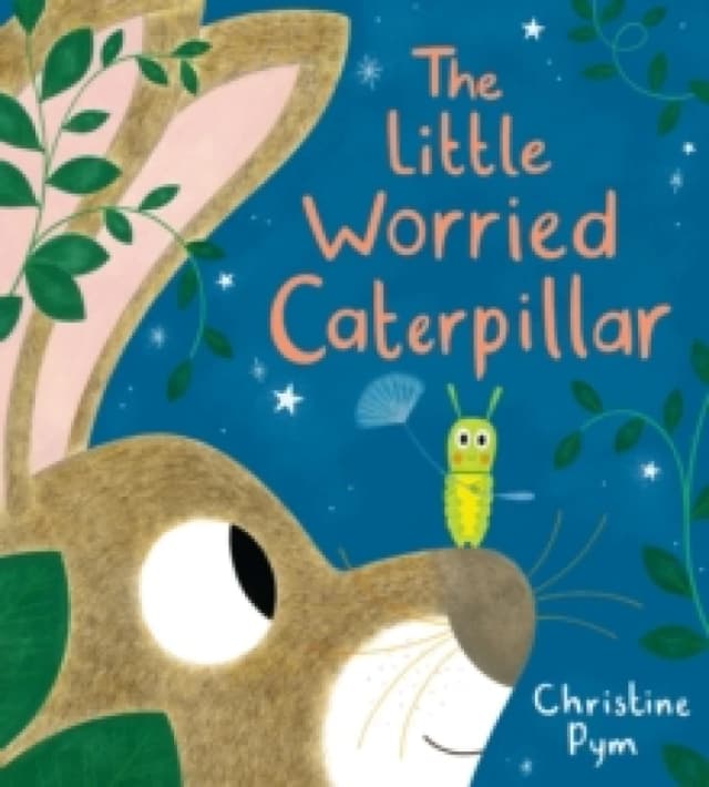Little Worried Caterpillar (PB) Paperback / softback