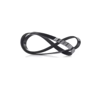 DAYCO V-ribbed belt 5PK1150S Serpentine belt,Auxiliary belt FIAT,ALFA ROMEO,JEEP,GRANDE PUNTO (199),PUNTO EVO (199),BRAVO II (198)