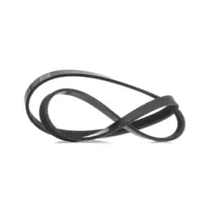 RIDEX V-ribbed belt 305P0375 Serpentine belt,Auxiliary belt BMW,FORD,FIAT,3 Limousine (E46),3 Touring (E46),3 Coupe (E46),3 Compact (E46)