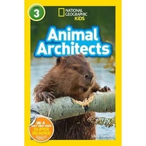 Animal Architects (L3) Paperback / softback 2019