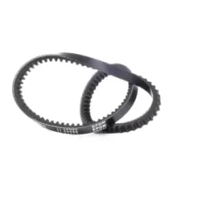 RIDEX V Belt VW,SEAT 10C0015 028145271E,037145271E Fenner Belt