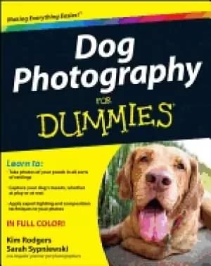 dog photography for dummies