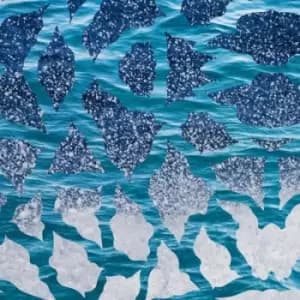 El Nino & the Southern Oscillations by El Nino & The Southern Oscillations Vinyl Album