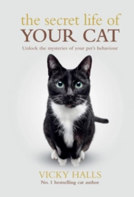 The Secret Life Of Your Cat Paperback / softback