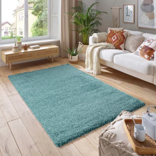 Smart Living Smart Living Soft Fluffy 5cm Thick Pile Shaggy Area Rugs for Living Room, Bedroom in Duck Egg Blue Size: 120cm x 170cm Duck Egg Blue 12