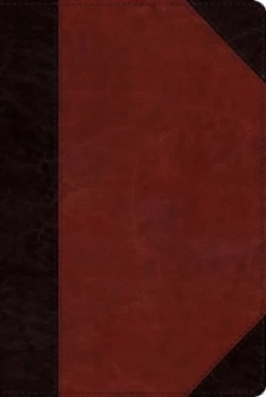 ESV Study Bible, Personal Size (Trutone, Brown/Cordovan, Portfolio Design). Leather / fine binding. By T Desmond Alexander, Kenneth Laing Harris, John