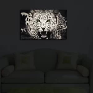 4570?ACT-43 Multicolor Decorative LED Lighted Canvas Painting