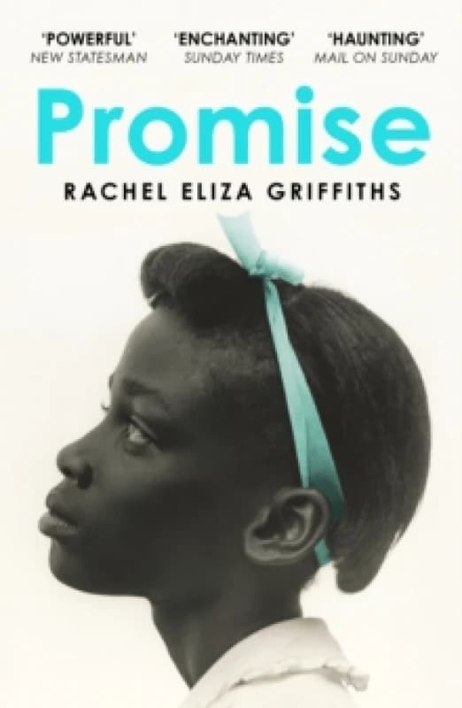 Promise Paperback / softback