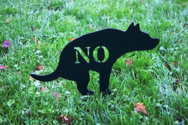 Poppy Forge Dog - Garden Ornament - Solid Steel - W34.3 X H25.4cm - Black