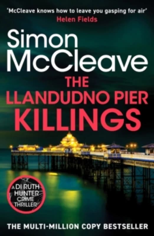 The Llandudno Pier Killings Paperback / softback