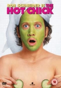 The Hot Chick DVD