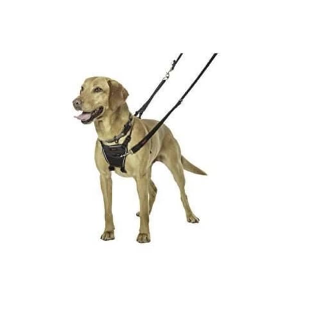 Company of Animals Halti No Pull Harness Size Medium, Professional Dog Harness To Stop Pulling On The Lead