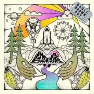 Banana Skin Shoes by Badly Drawn Boy CD Album