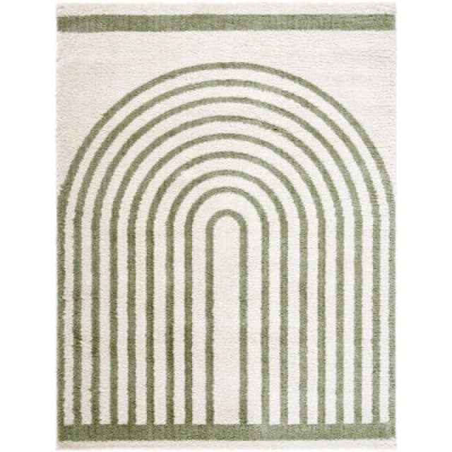 Livabliss Fossay Shag-Washable Beige Brown Green Grey Modern High Pile Living Rug Size: 200cm x 275cm Green Unisex 200cm x 275 cm