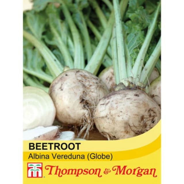 Thompson & Morgan Beetroot Albina Vereduna 1 Seed Packet (250 Seeds)