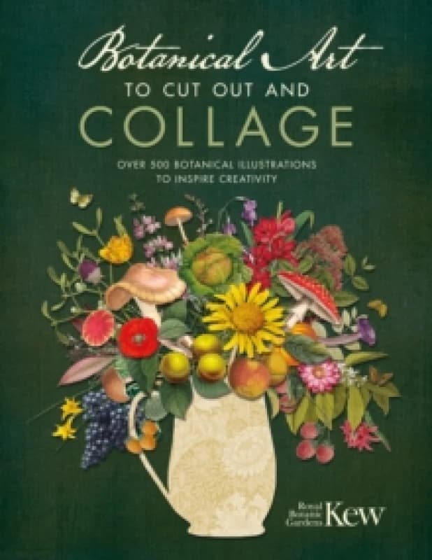 Botanical Art to Cut out and Collage : Over 500 Botanical Illustrations to Inspire Creativity Paperback / softback