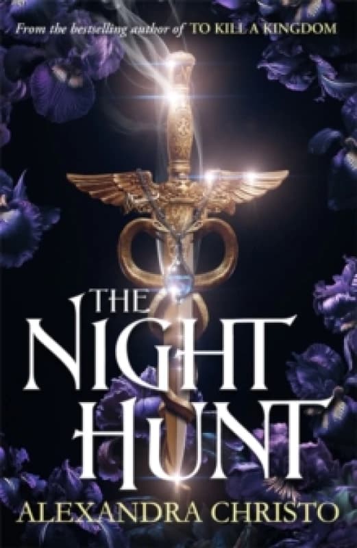 The Night Hunt Paperback / softback
