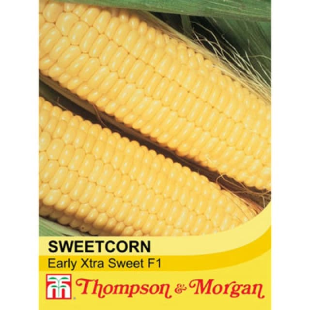 Thompson & Morgan Sweetcorn Early Xtra Sweet F1 Hybrid 1 Seed Packet (30 Seeds)