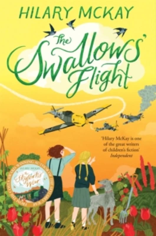 The Swallows' Flight Paperback / softback