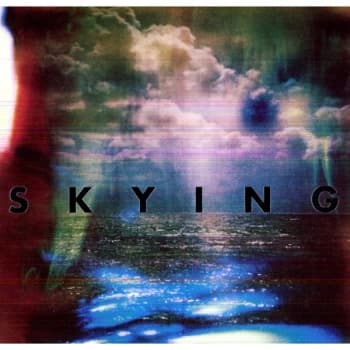 The Horrors - Skying Vinyl