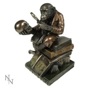 Darwinism of Evolutionary Theory Monkey Figurine
