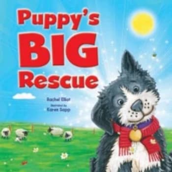 Puppys Big Rescue by Rachel Elliot and Karen Sapp Paperback