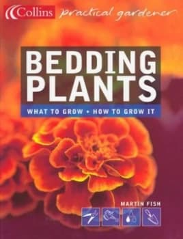 Bedding Plants by Martin Fish Book
