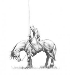 Hedge Knight by George R.R. Martin Book