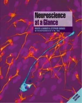 Neuroscience at a Glance by Roger Barker Paperback