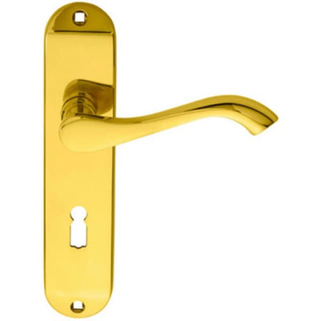 Loops PAIR Curved Handle on Chamfered Lock Backplate 180 x 40mm Polished Brass Metallics