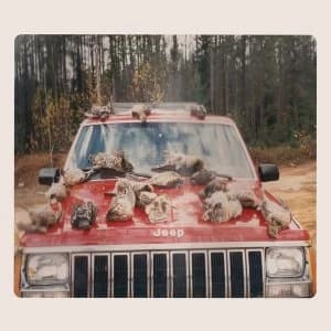 Efrim Menuck & Kevin Doria - are SING SINCK, SING Vinyl