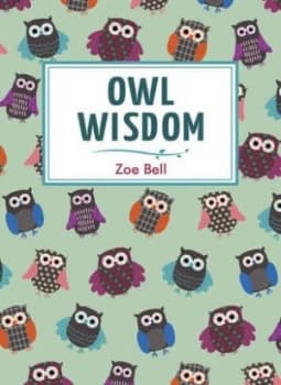 Owl Wisdom by Zoe Bell Hardback