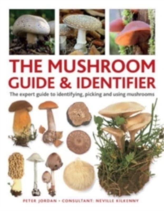 The Mushroom Guide & Identifier. WBT. By Peter Jordan Books