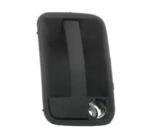 RIDEX Door Handle FIAT,PEUGEOT,CITROEN 1373D0019 9101G8,1473216899