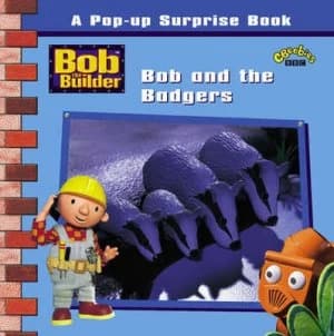 Bob and the Badgers by Sarah Ball Paperback