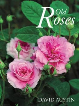 Old Roses by David Austin Hardback