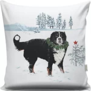 A12998 Multicolor Cushion