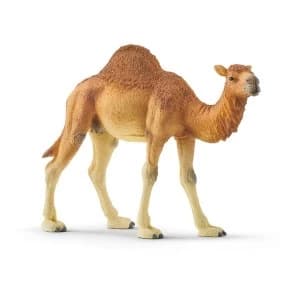 Schleich Wild Life - Dromedary Figure