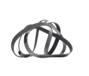 DAYCO V-ribbed belt 6PK2263 Serpentine belt,Auxiliary belt AUDI,MERCEDES-BENZ,OPEL,80 Limousine (8C2, B4),Cabriolet (8G7, B4),80 Avant (8C5, B4)