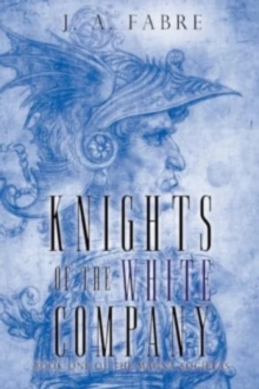 Knights of the White Company Paperback / softback