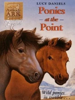 Ponies at the Point by Lucy Daniels Paperback