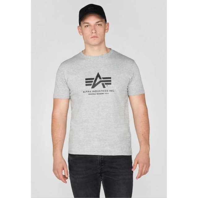 alpha industries T-Shirt Alpha Industries Basic Gris Male L