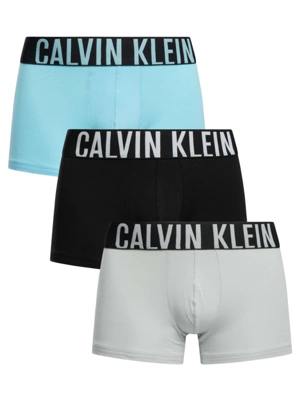 Calvin Klein 3 Pack Intense Power Trunks Harbor Mist/Black/Chilly Blue L