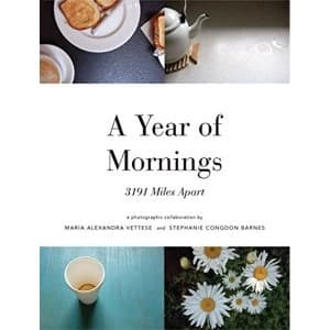 A Year of Mornings: 3191 Miles Apart by Maria Vettese, Stephanie Congdon Barnes (Paperback, 2008)