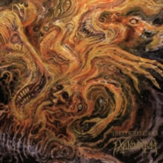 Sollvm Ipsa Mor Vinyl